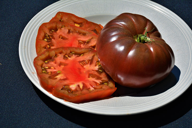 Cherokee Purple Tomato (Solanum lycopersicum 'Cherokee Purple') at Kennedy's Country Gardens